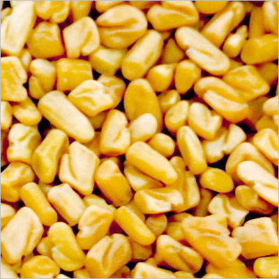 Manufacturers Exporters and Wholesale Suppliers of Fenugreek Seeds Palanpur Gujarat